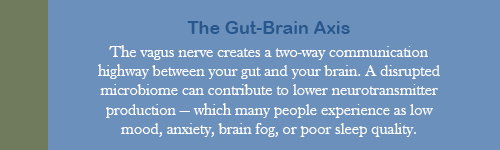 Gut-brain Axis