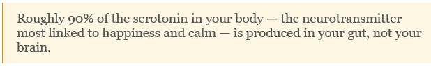 Roughly 90% of the serotonin in your body — the neurotransmitter most linked to happiness and calm — is produced in your gut, not your brain.